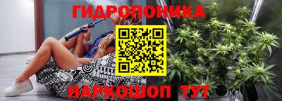 амф Гай